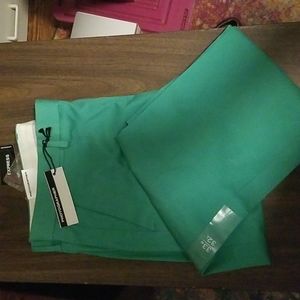 Express Photographer pants green size 33 32 NWT
